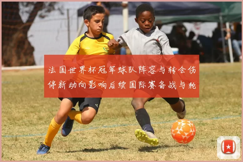 法国世界杯冠军球队阵容与转会伤停新动向影响后续国际赛备战与轮换