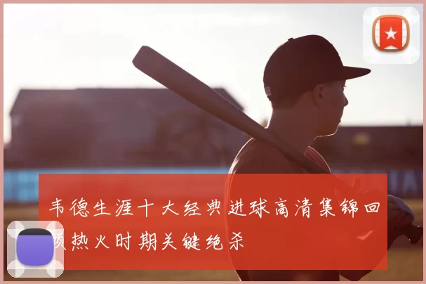 韦德生涯十大经典进球高清集锦回顾热火时期关键绝杀