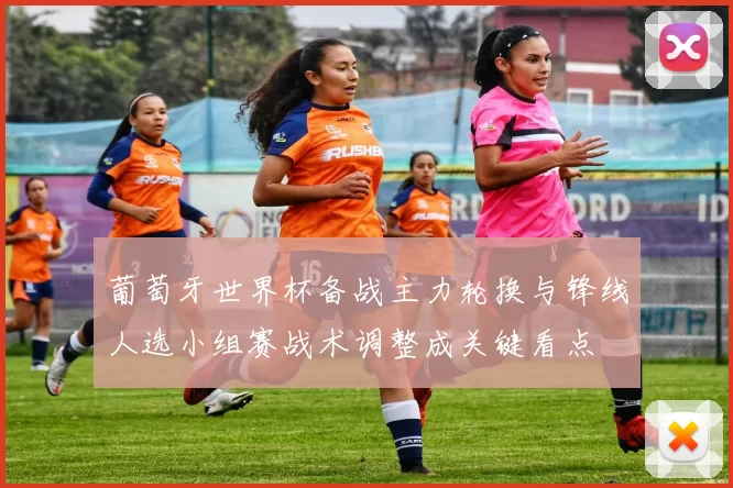 葡萄牙世界杯备战主力轮换与锋线人选小组赛战术调整成关键看点