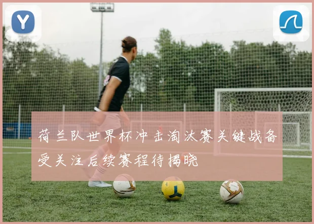 荷兰队世界杯冲击淘汰赛关键战备受关注后续赛程待揭晓