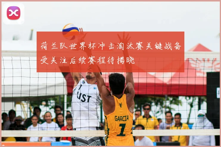 荷兰队世界杯冲击淘汰赛关键战备受关注后续赛程待揭晓